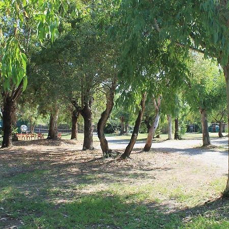 Villaggio Camping Maratea Eksteriør billede