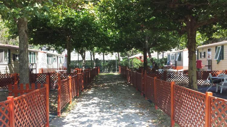 Villaggio Camping Maratea Eksteriør billede